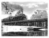 Suwannee Steam Special